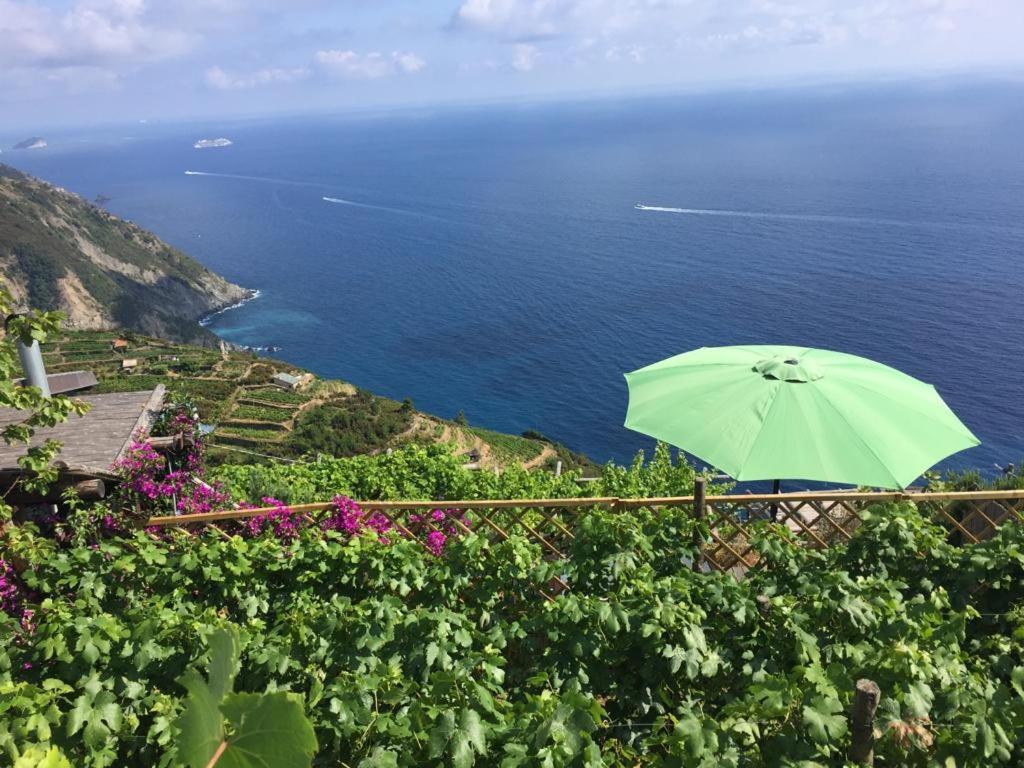 Villa UWABIO Cinque Terre Riomaggiore Exterior foto